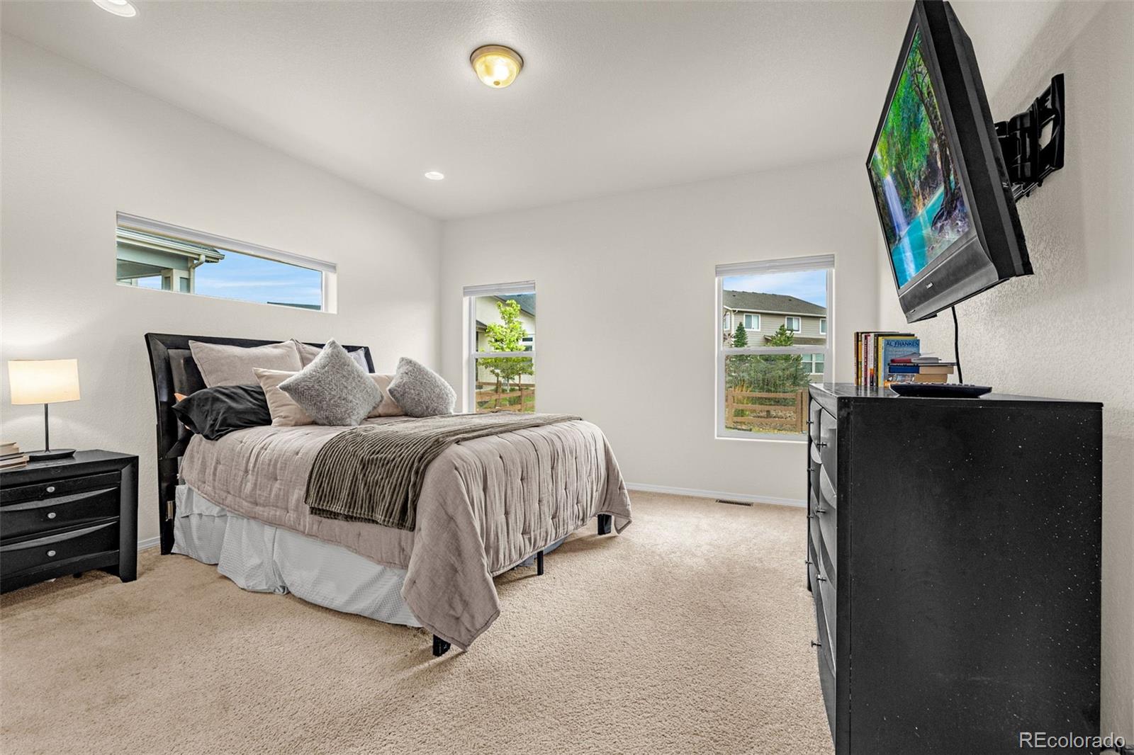 MLS Image #17 for 10301  sharon springs drive,colorado springs, Colorado