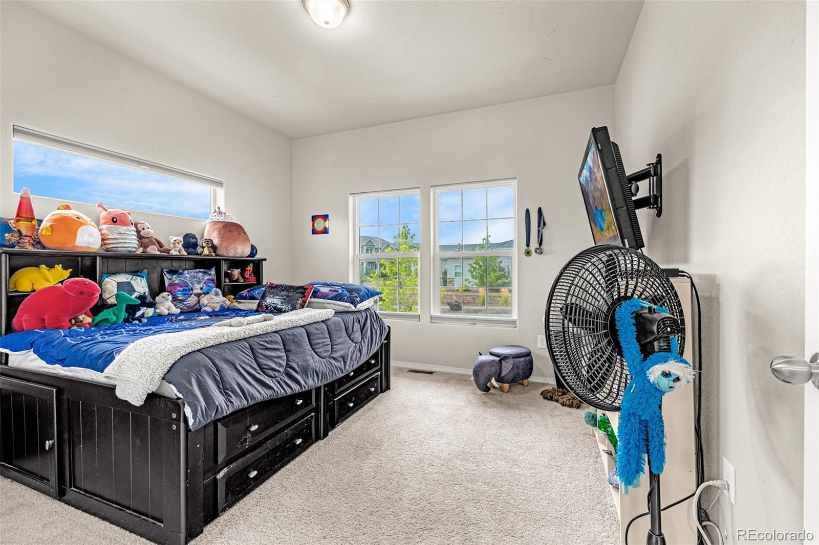 MLS Image #23 for 10301  sharon springs drive,colorado springs, Colorado