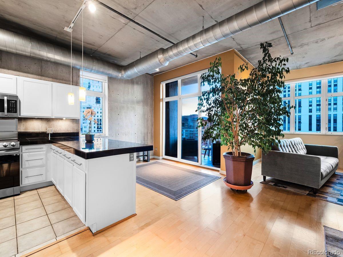 MLS Image #7 for 290 w 12th avenue,denver, Colorado