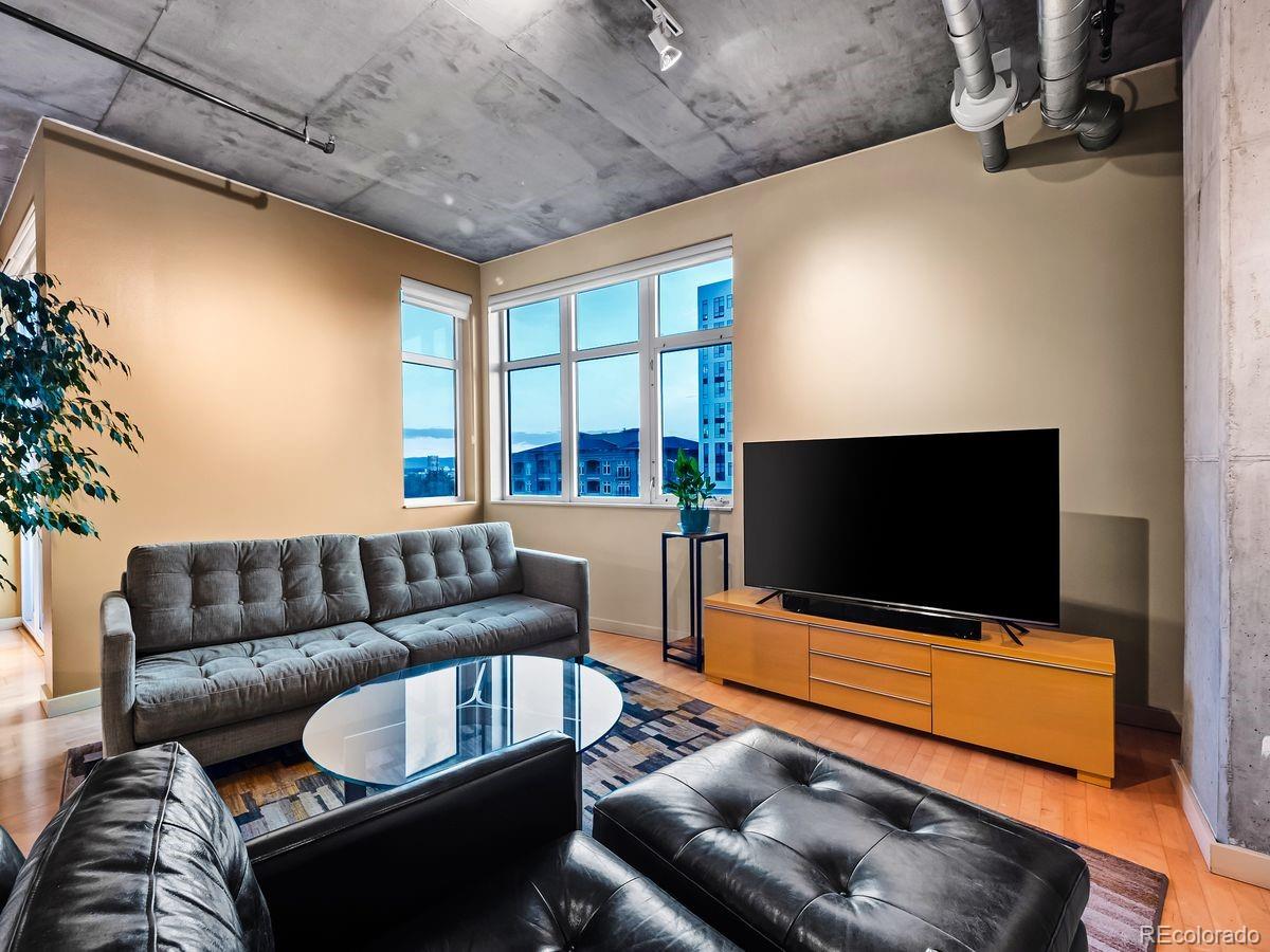 MLS Image #9 for 290 w 12th avenue,denver, Colorado