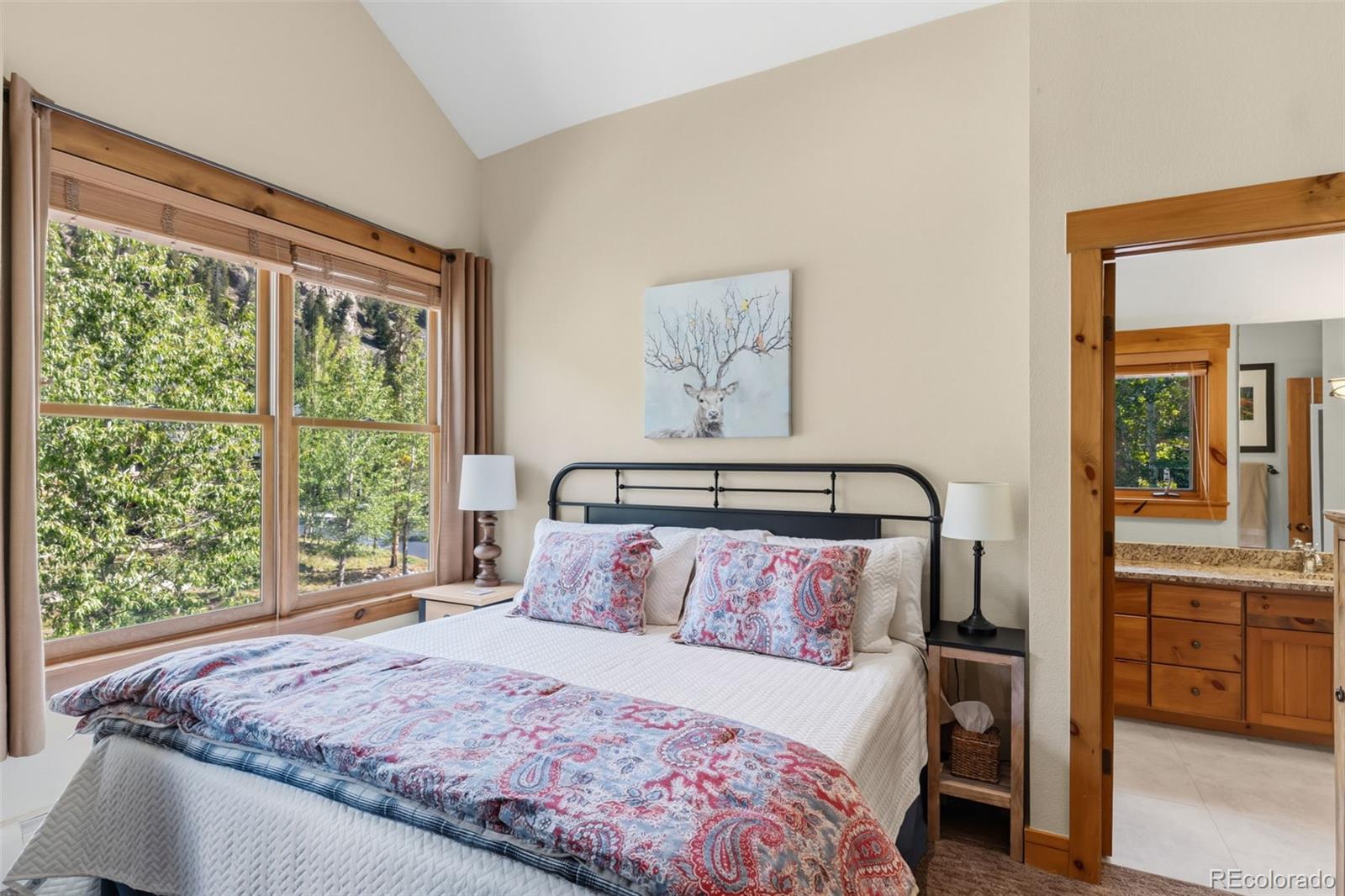 MLS Image #28 for 226  alpen rose place,keystone, Colorado
