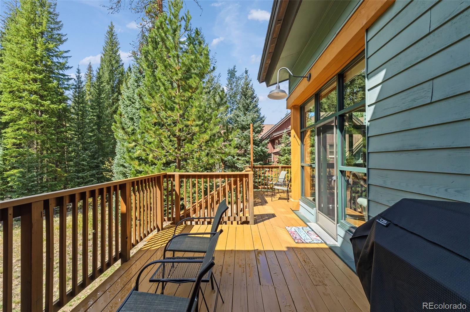 MLS Image #40 for 226  alpen rose place,keystone, Colorado