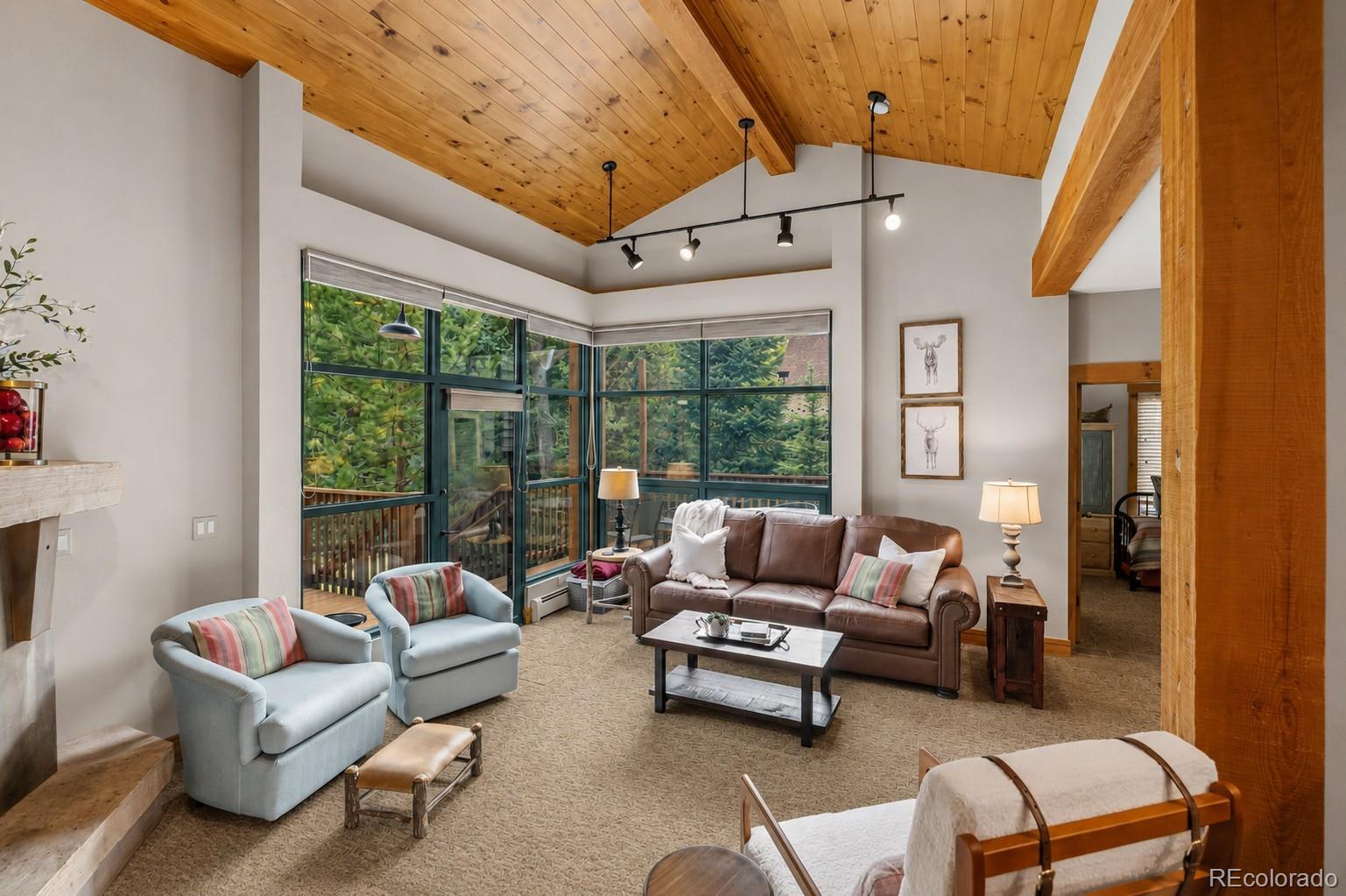 MLS Image #6 for 226  alpen rose place,keystone, Colorado