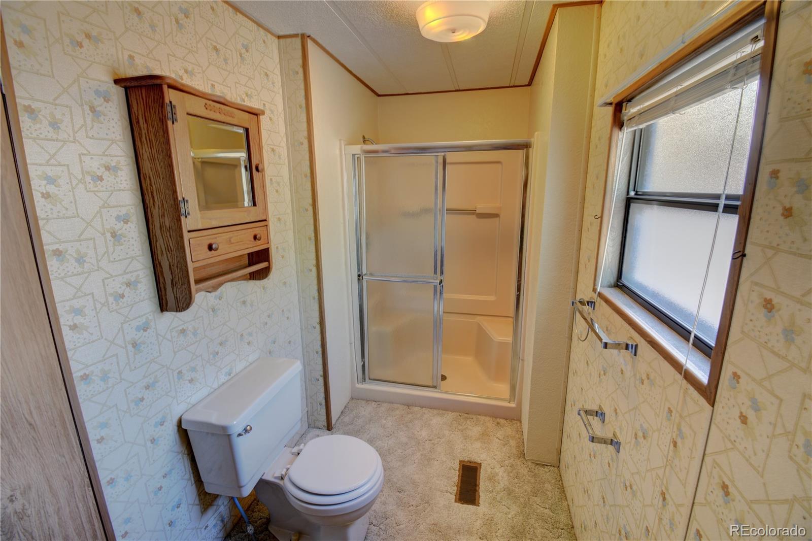 MLS Image #13 for 622  walnut street,salida, Colorado