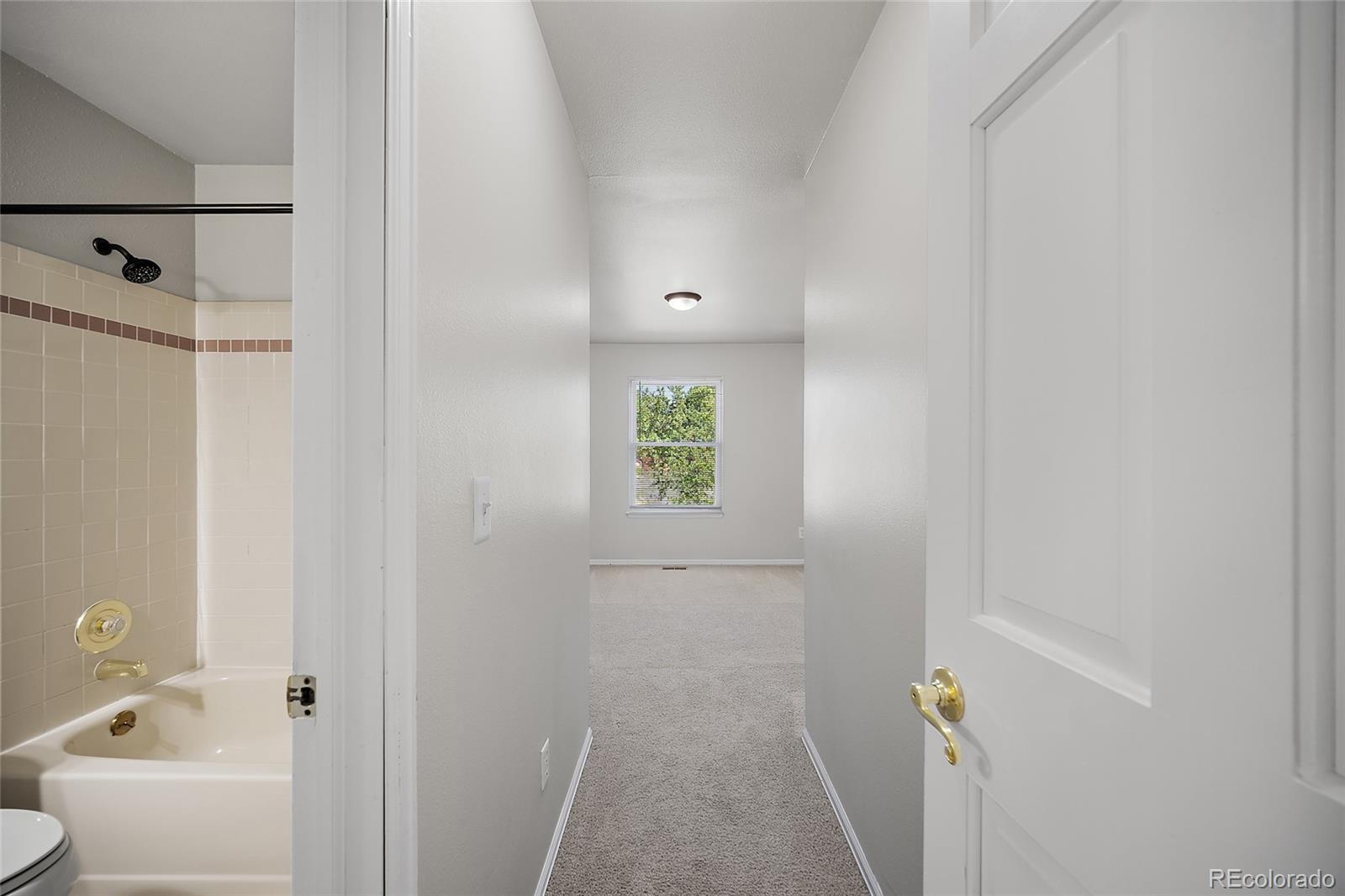MLS Image #11 for 125  ravenglass way,colorado springs, Colorado