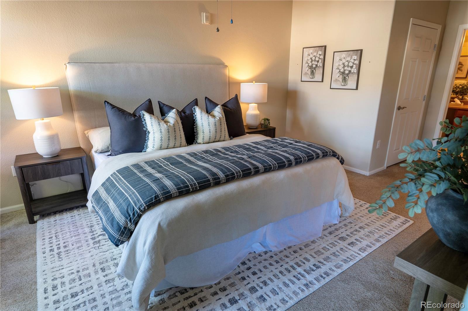 MLS Image #6 for 10733  twenty mile road,parker, Colorado