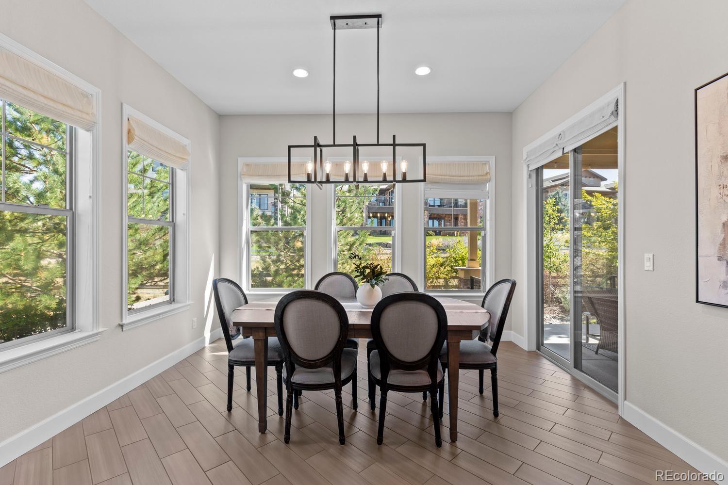 MLS Image #13 for 294  featherwalk court,highlands ranch, Colorado