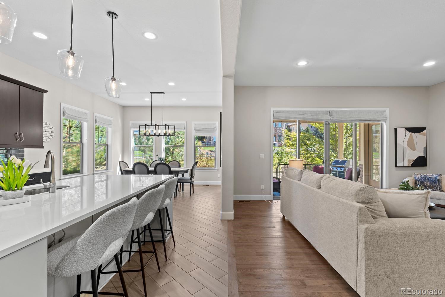 MLS Image #14 for 294  featherwalk court,highlands ranch, Colorado
