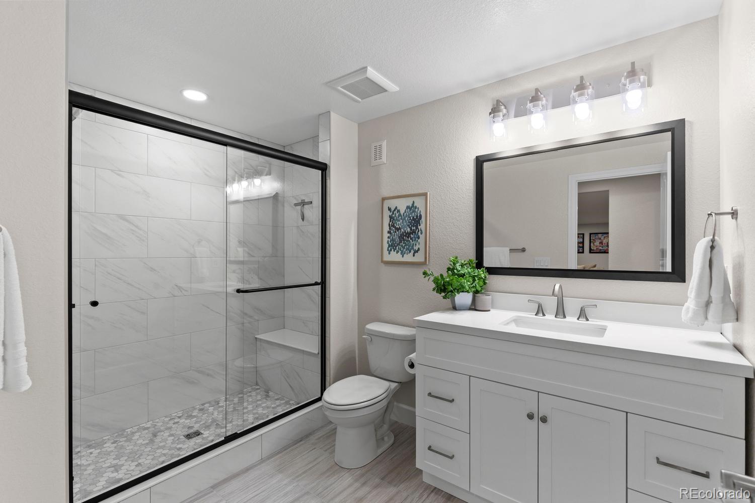 MLS Image #31 for 294  featherwalk court,highlands ranch, Colorado