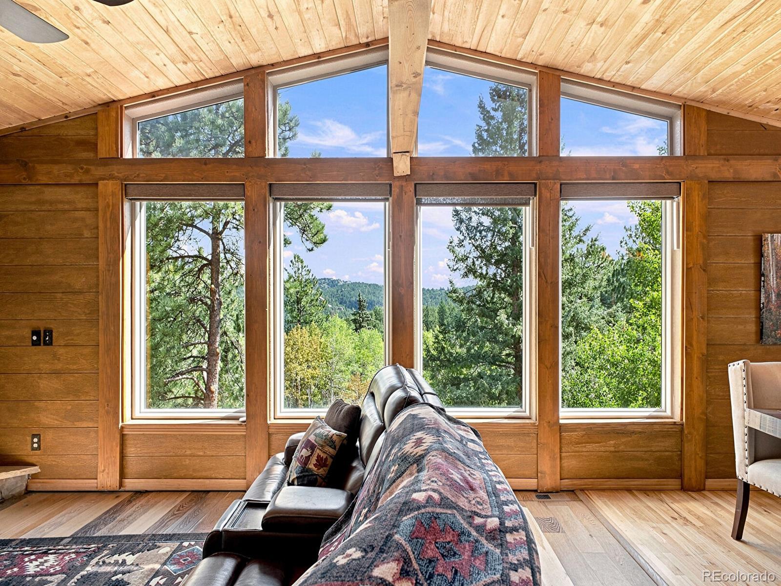 MLS Image #1 for 611  impala trail,bailey, Colorado