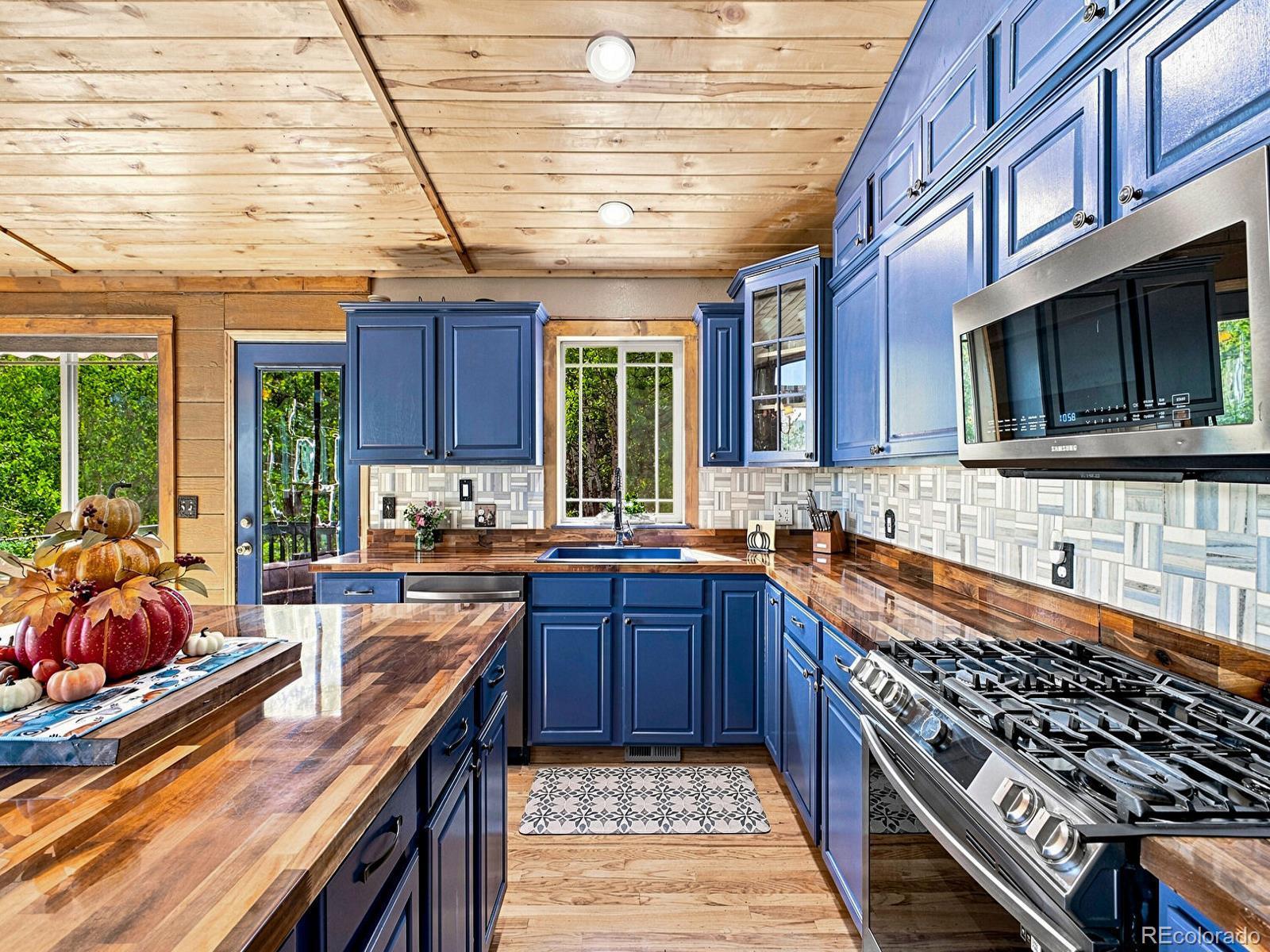 MLS Image #10 for 611  impala trail,bailey, Colorado