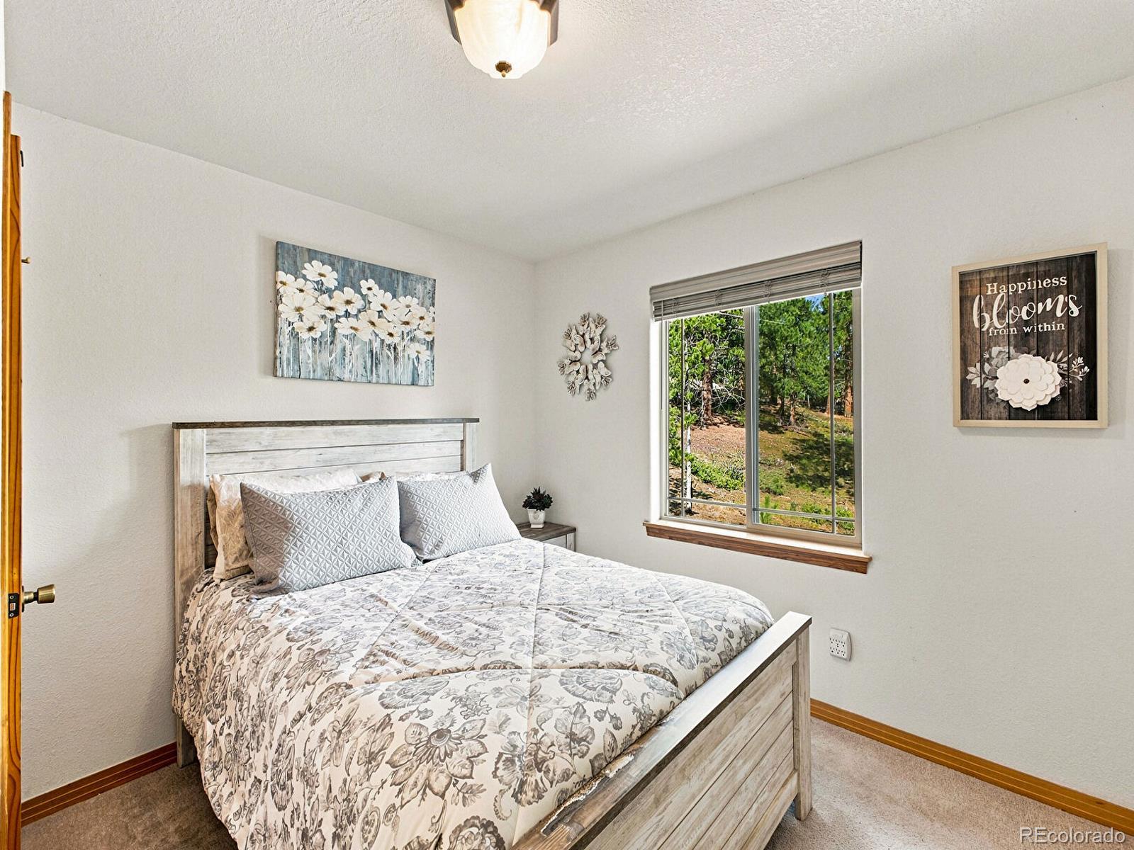 MLS Image #11 for 611  impala trail,bailey, Colorado