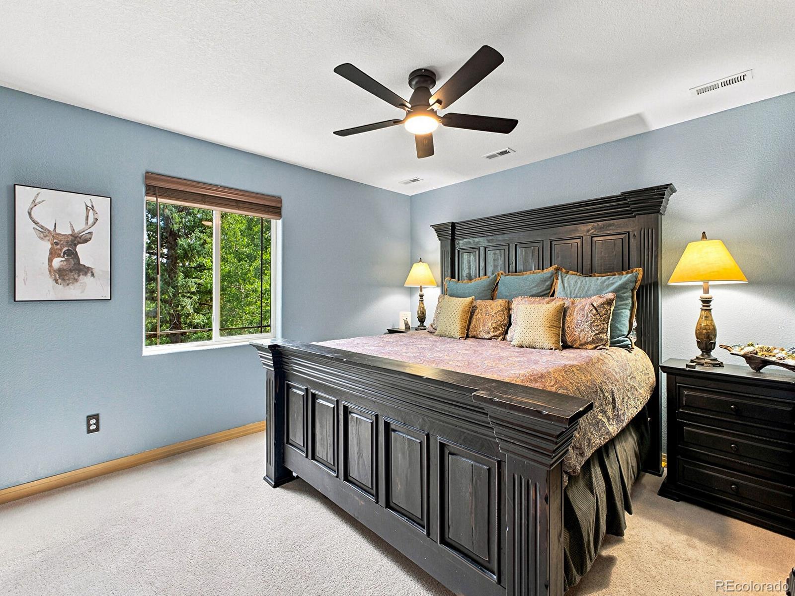 MLS Image #23 for 611  impala trail,bailey, Colorado