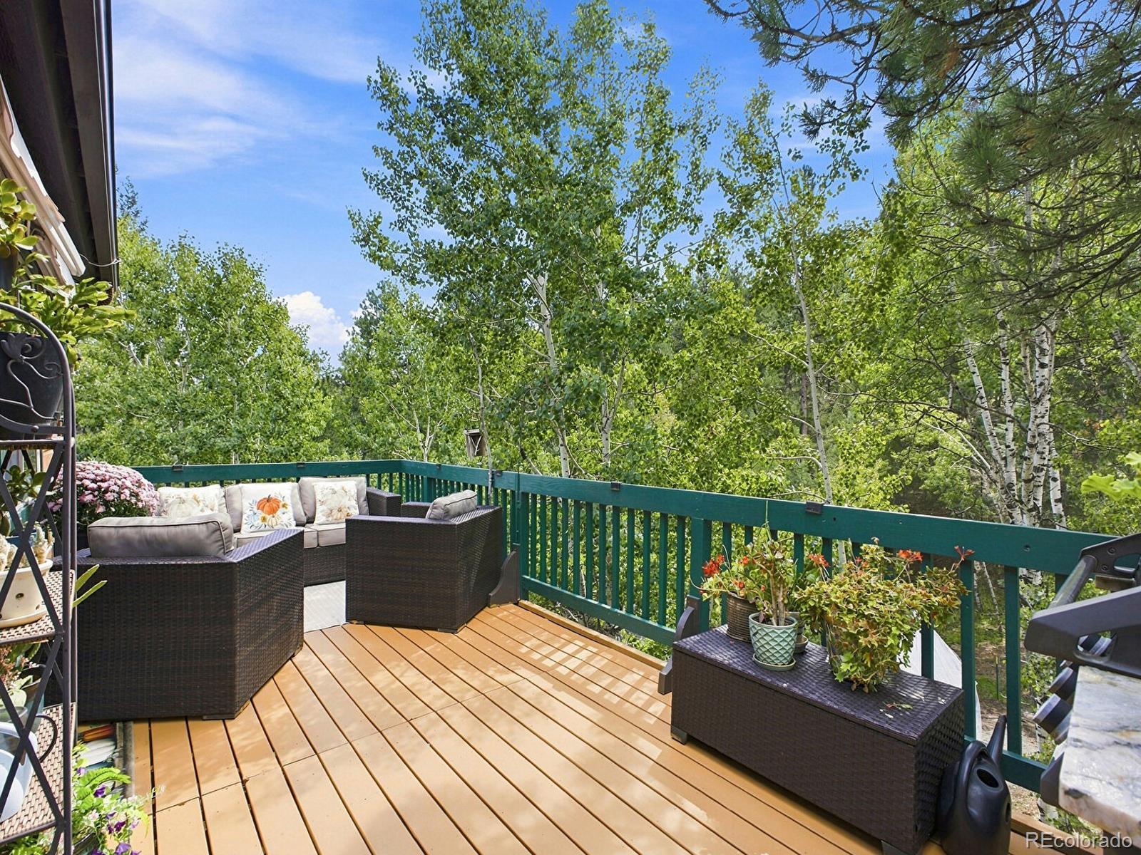 MLS Image #37 for 611  impala trail,bailey, Colorado