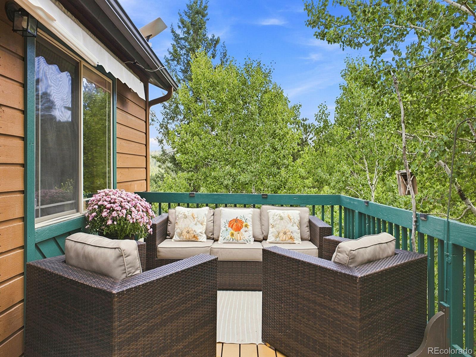 MLS Image #38 for 611  impala trail,bailey, Colorado