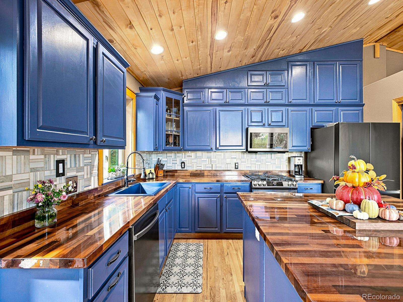 MLS Image #8 for 611  impala trail,bailey, Colorado