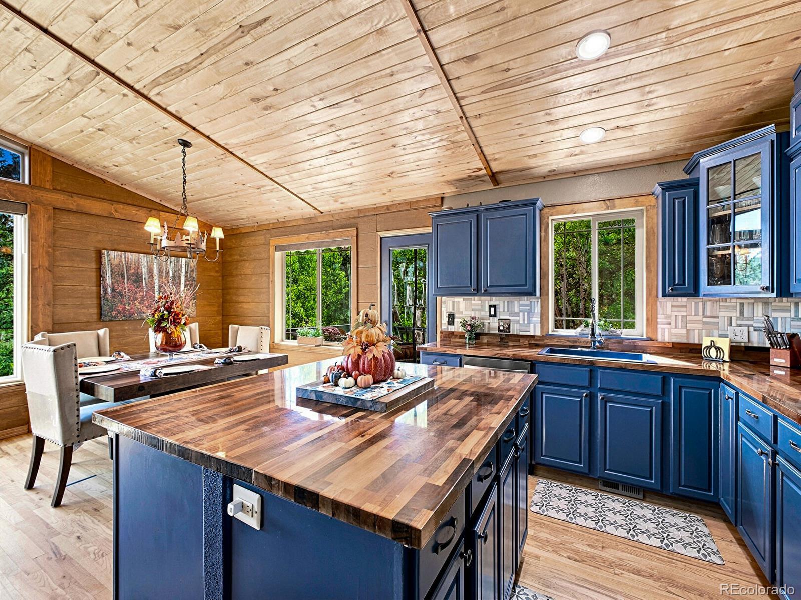 MLS Image #9 for 611  impala trail,bailey, Colorado