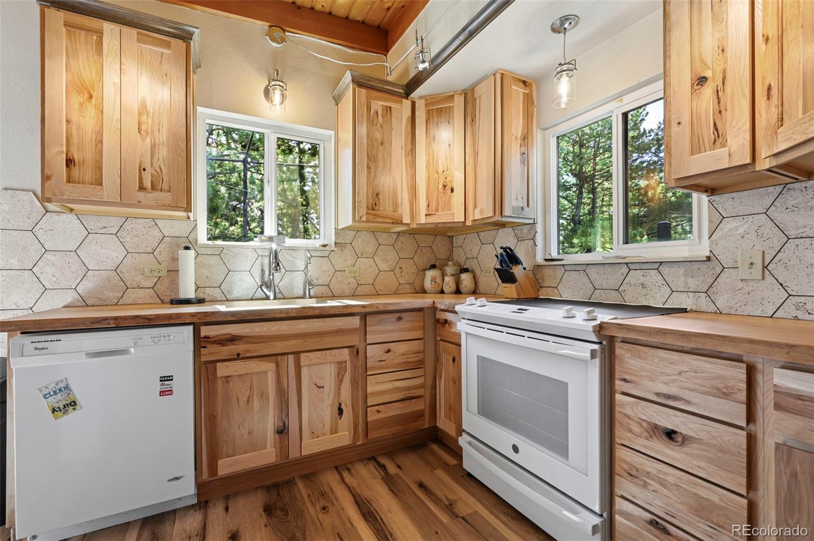 MLS Image #11 for 4455  heizer street,cascade, Colorado