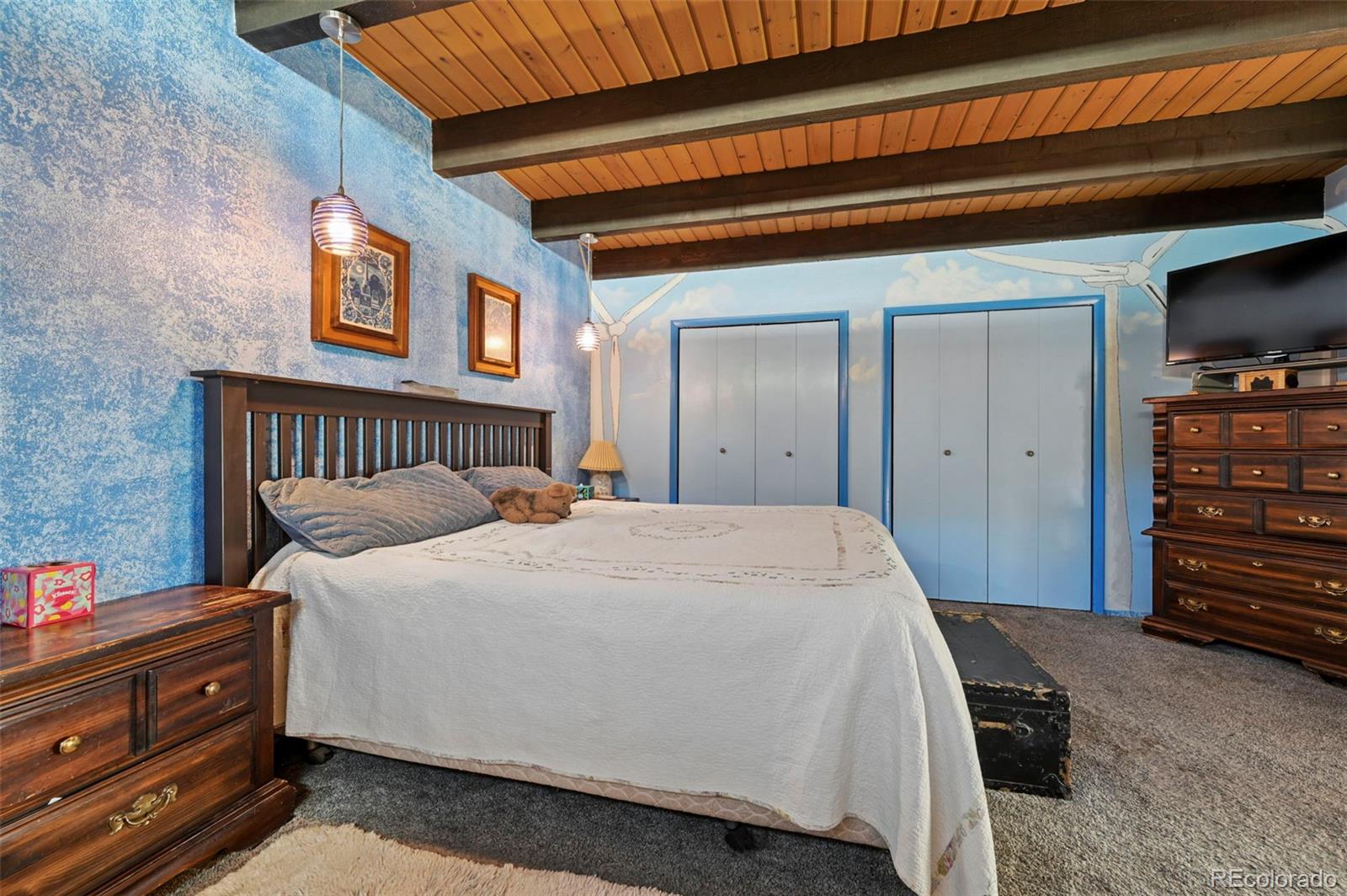 MLS Image #24 for 4455  heizer street,cascade, Colorado