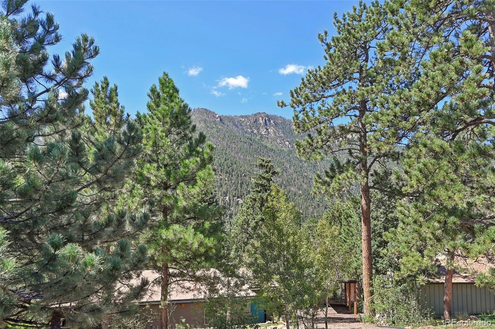 MLS Image #36 for 4455  heizer street,cascade, Colorado