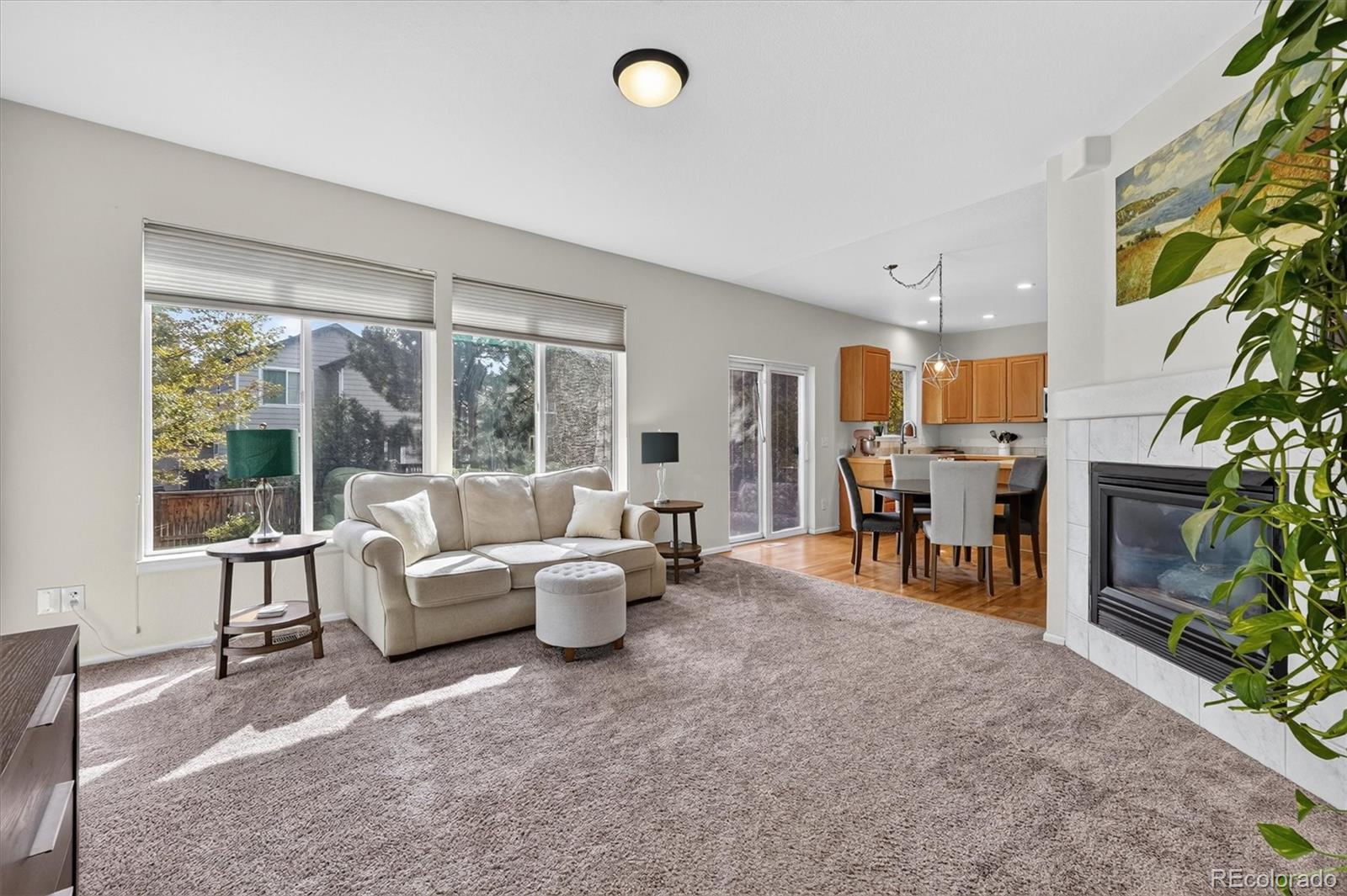 MLS Image #15 for 672  english sparrow trail,highlands ranch, Colorado