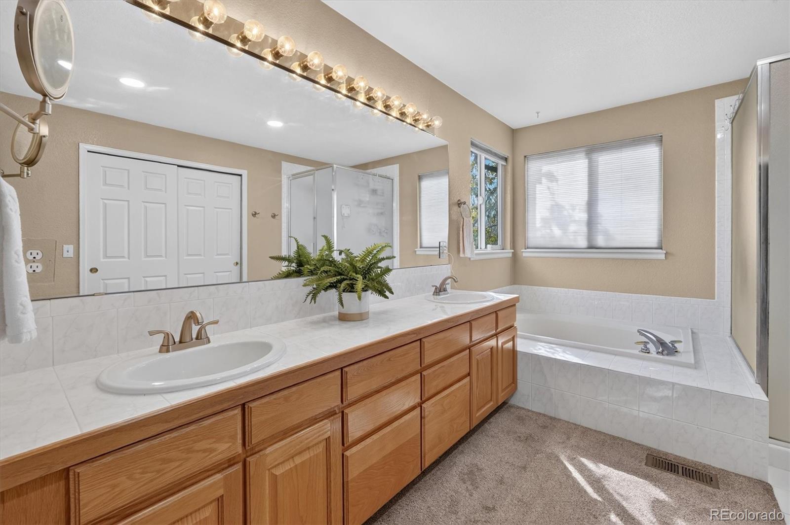 MLS Image #21 for 672  english sparrow trail,highlands ranch, Colorado