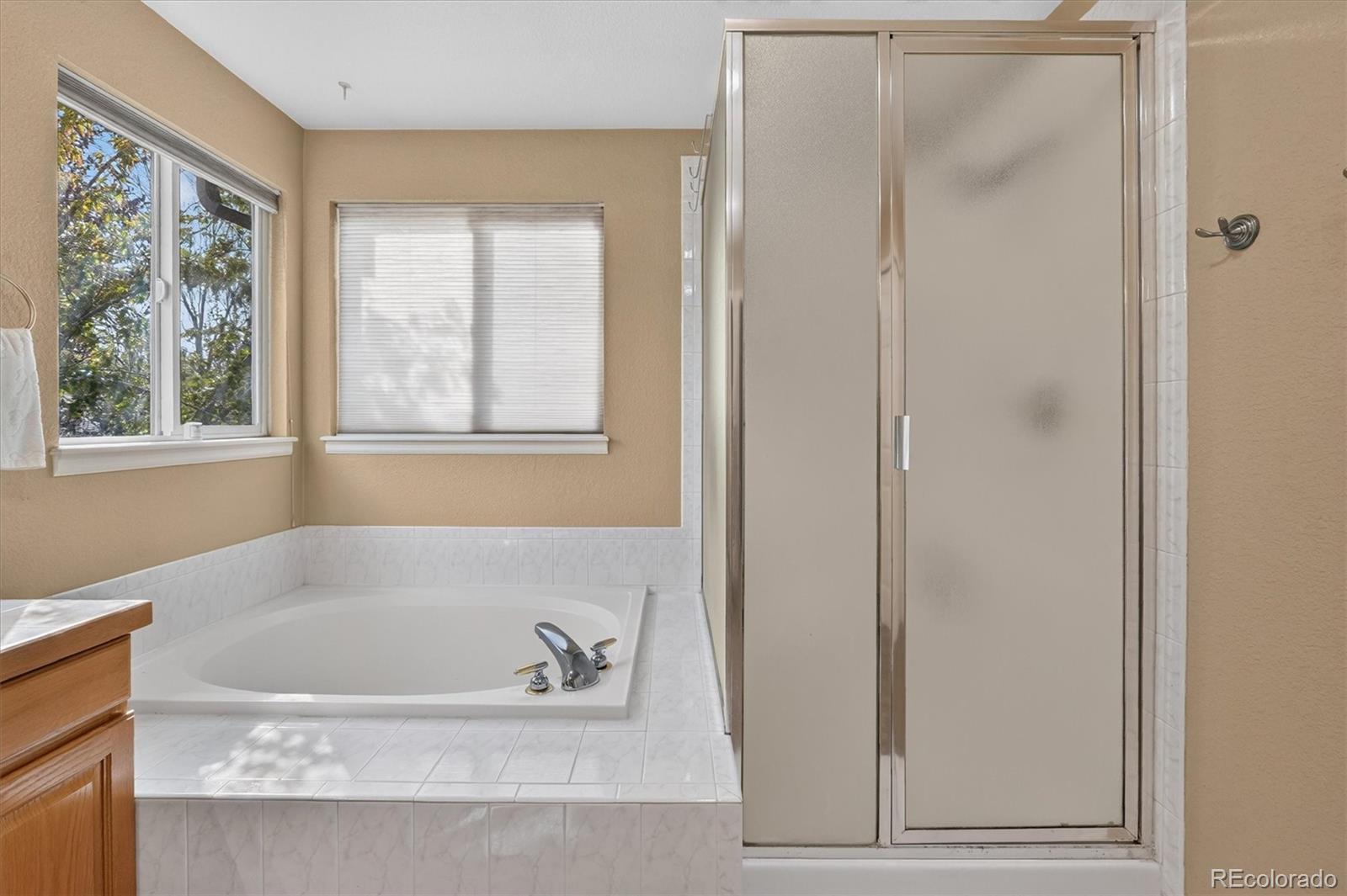 MLS Image #22 for 672  english sparrow trail,highlands ranch, Colorado