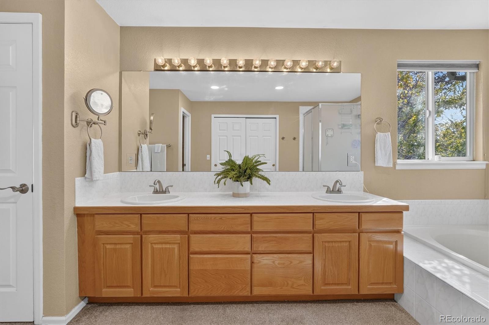MLS Image #23 for 672  english sparrow trail,highlands ranch, Colorado