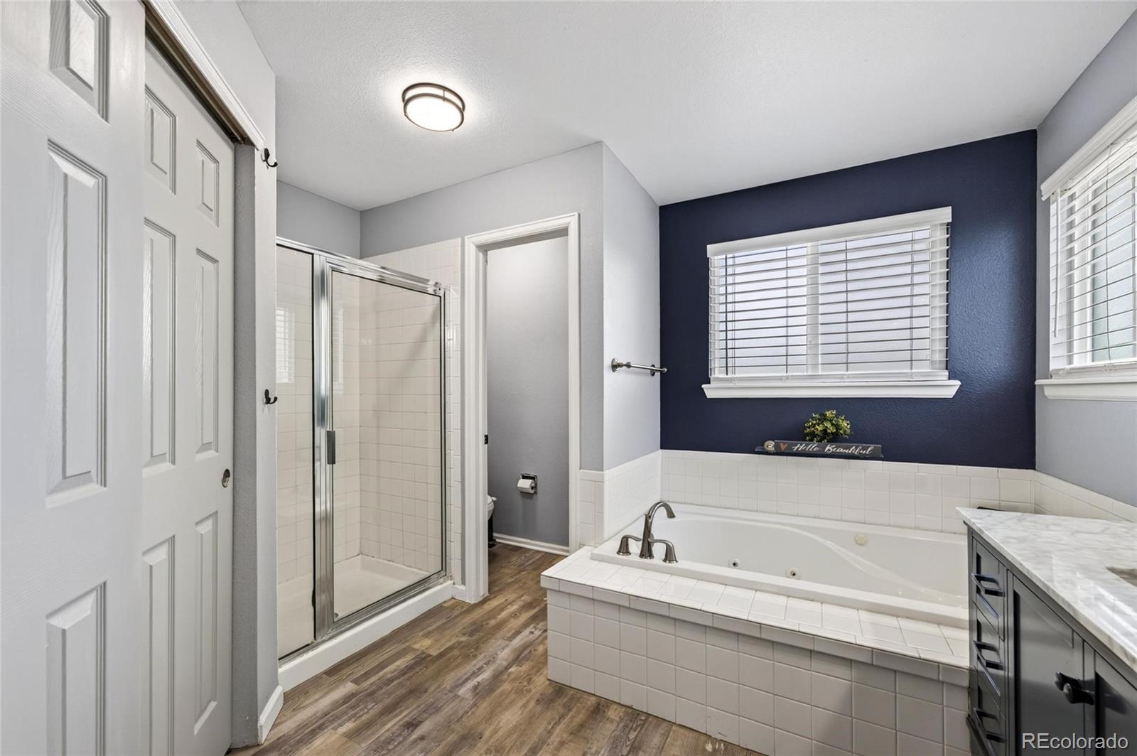 MLS Image #21 for 9924  silver maple way,highlands ranch, Colorado