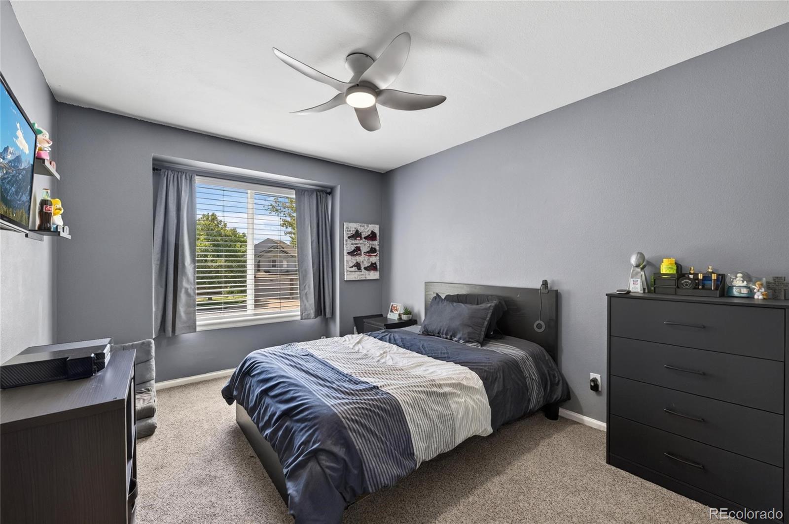MLS Image #24 for 9924  silver maple way,highlands ranch, Colorado