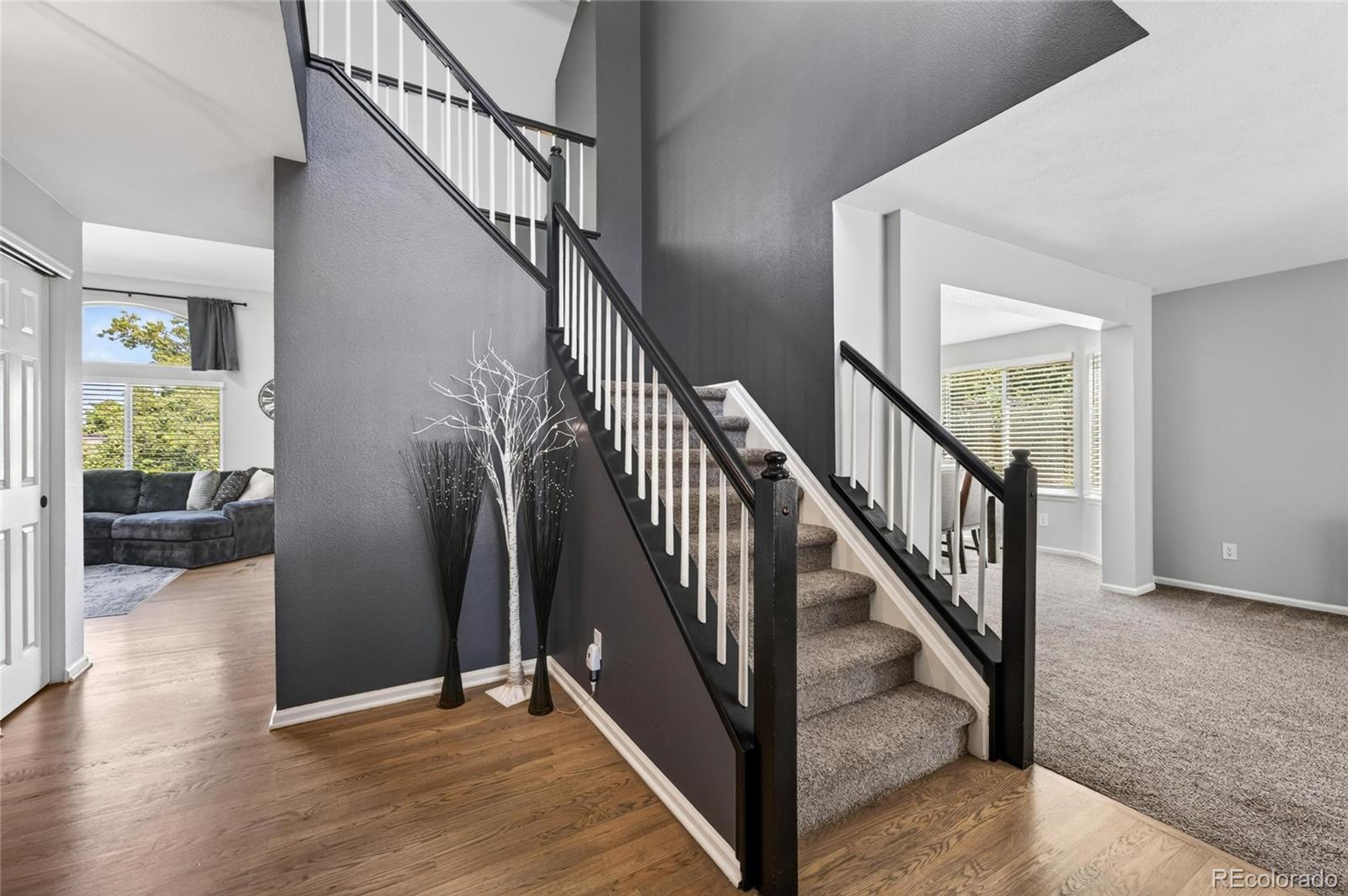 MLS Image #3 for 9924  silver maple way,highlands ranch, Colorado