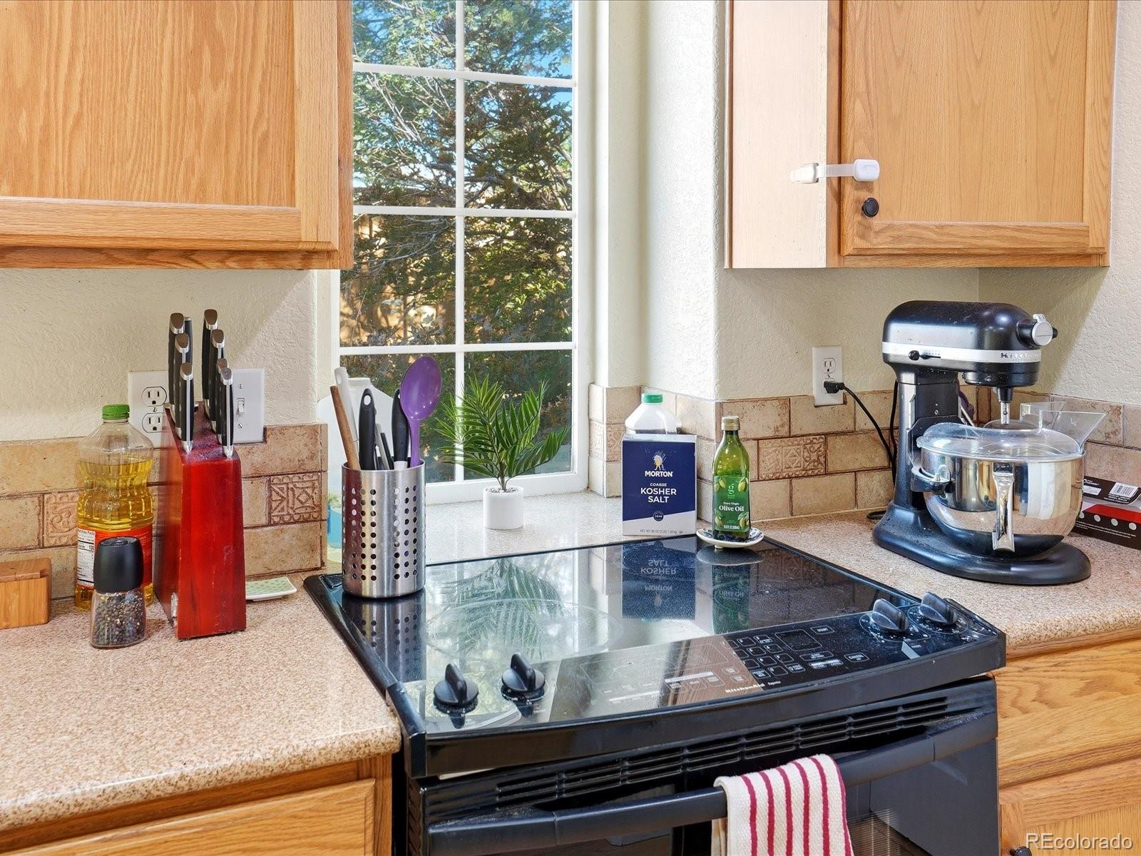 MLS Image #12 for 20000  mitchell place,denver, Colorado
