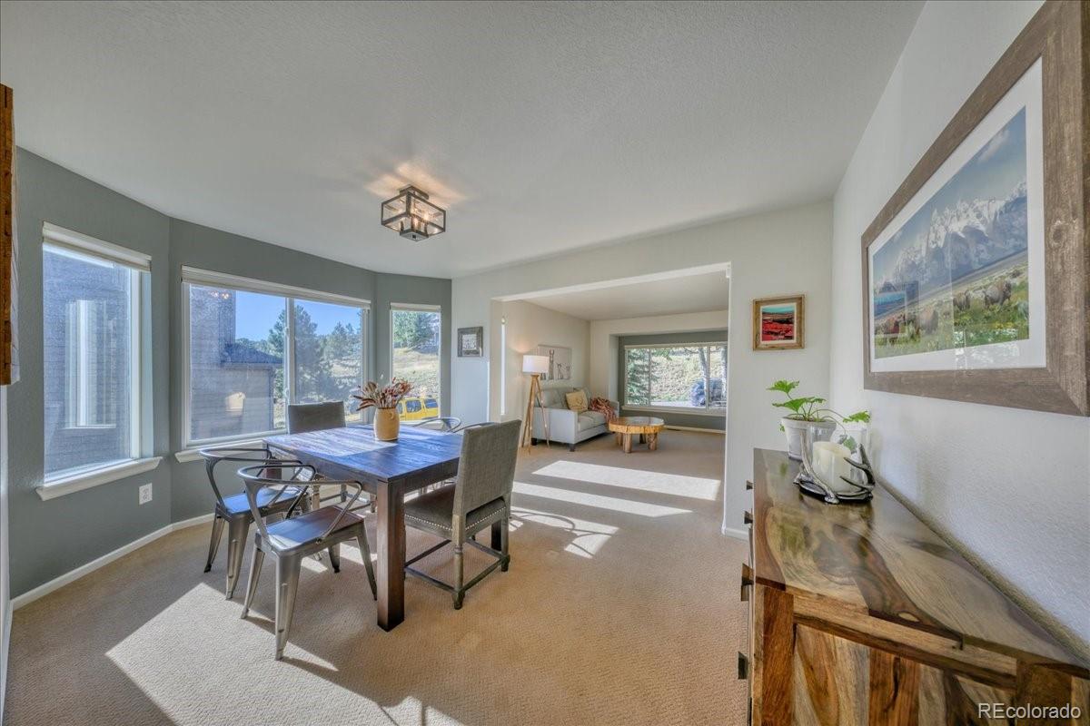 MLS Image #10 for 24037  deer valley road,golden, Colorado