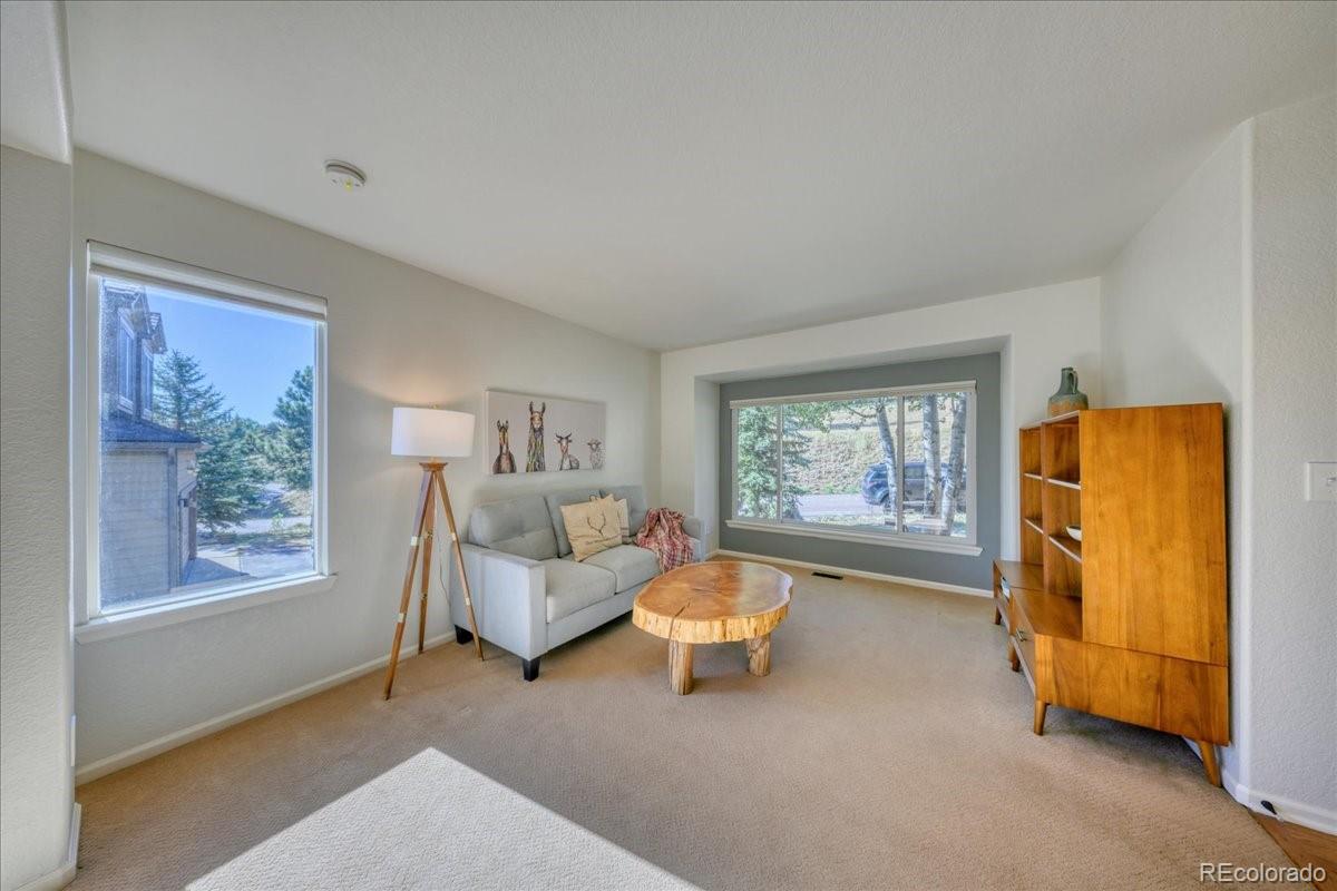 MLS Image #11 for 24037  deer valley road,golden, Colorado