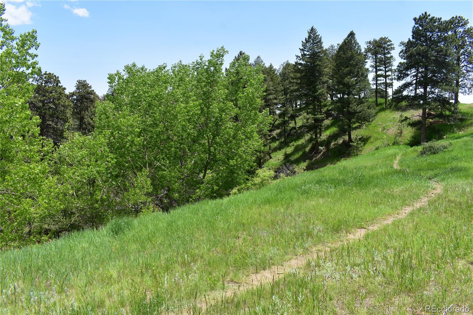MLS Image #37 for 24037  deer valley road,golden, Colorado