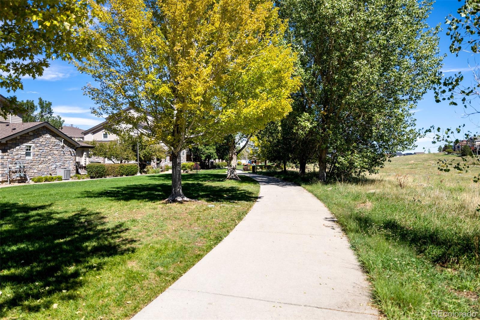 MLS Image #17 for 15470  canyon rim drive,englewood, Colorado