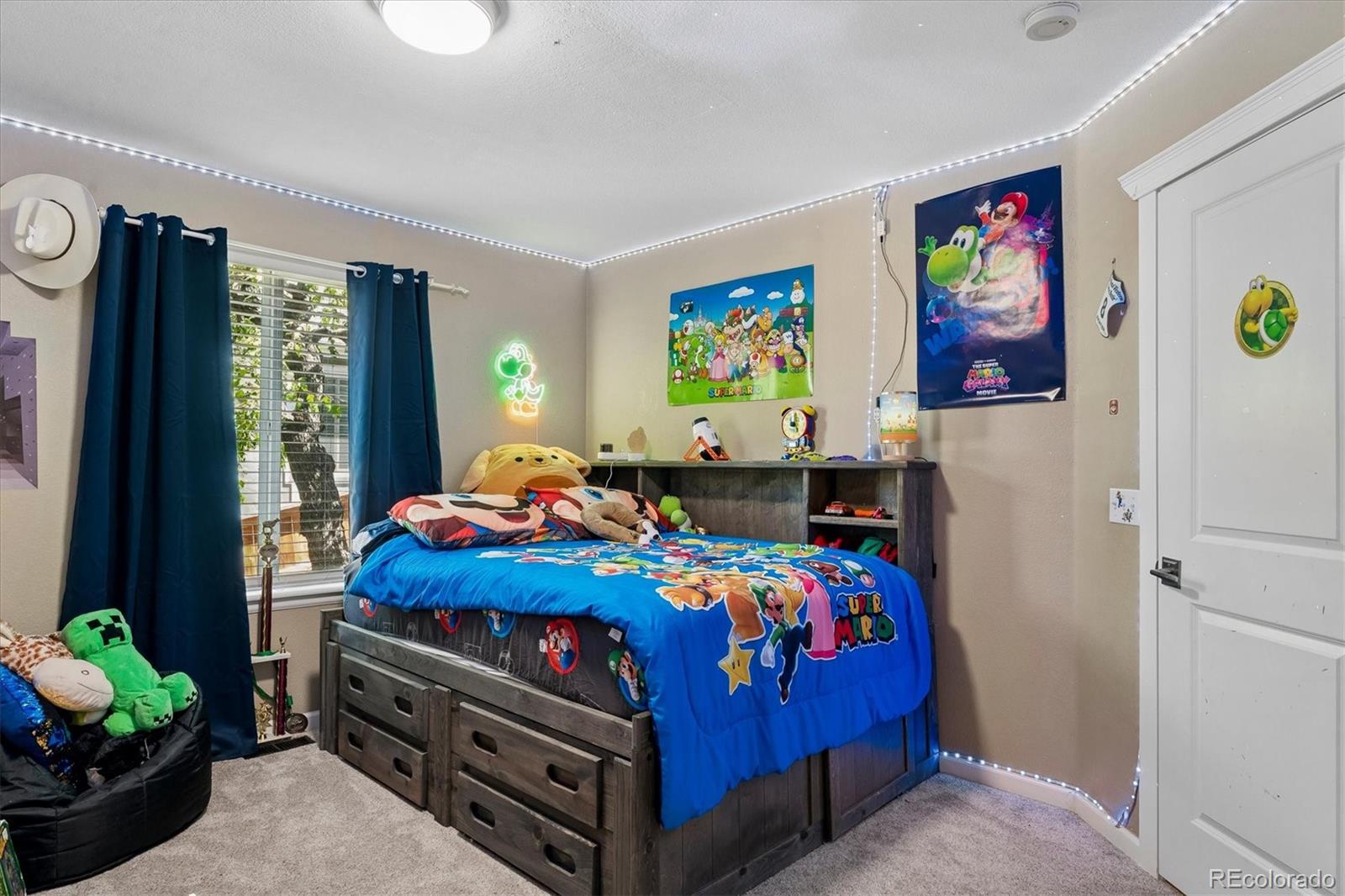 MLS Image #27 for 9646  westbury way,highlands ranch, Colorado