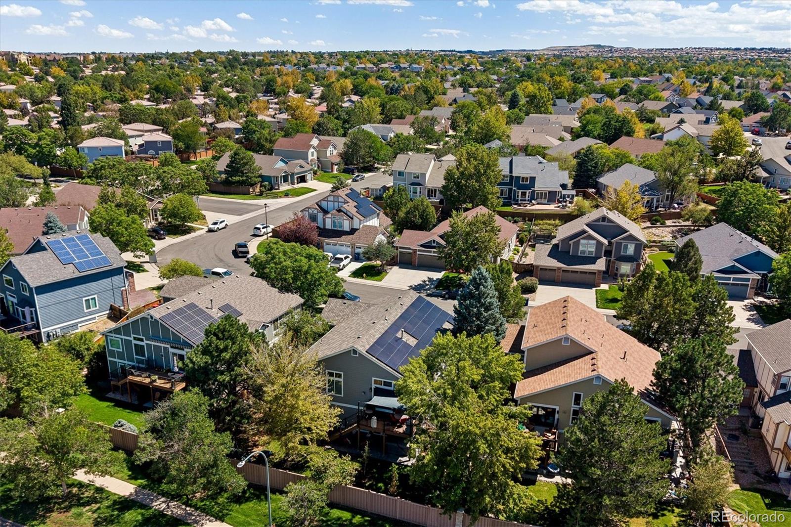 MLS Image #8 for 9646  westbury way,highlands ranch, Colorado