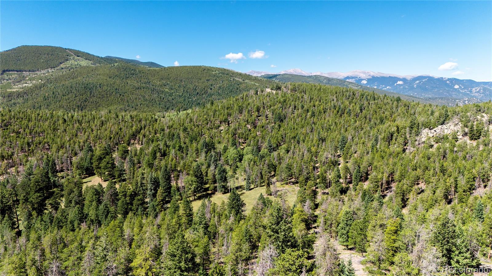 MLS Image #32 for 6929  weasel way,evergreen, Colorado