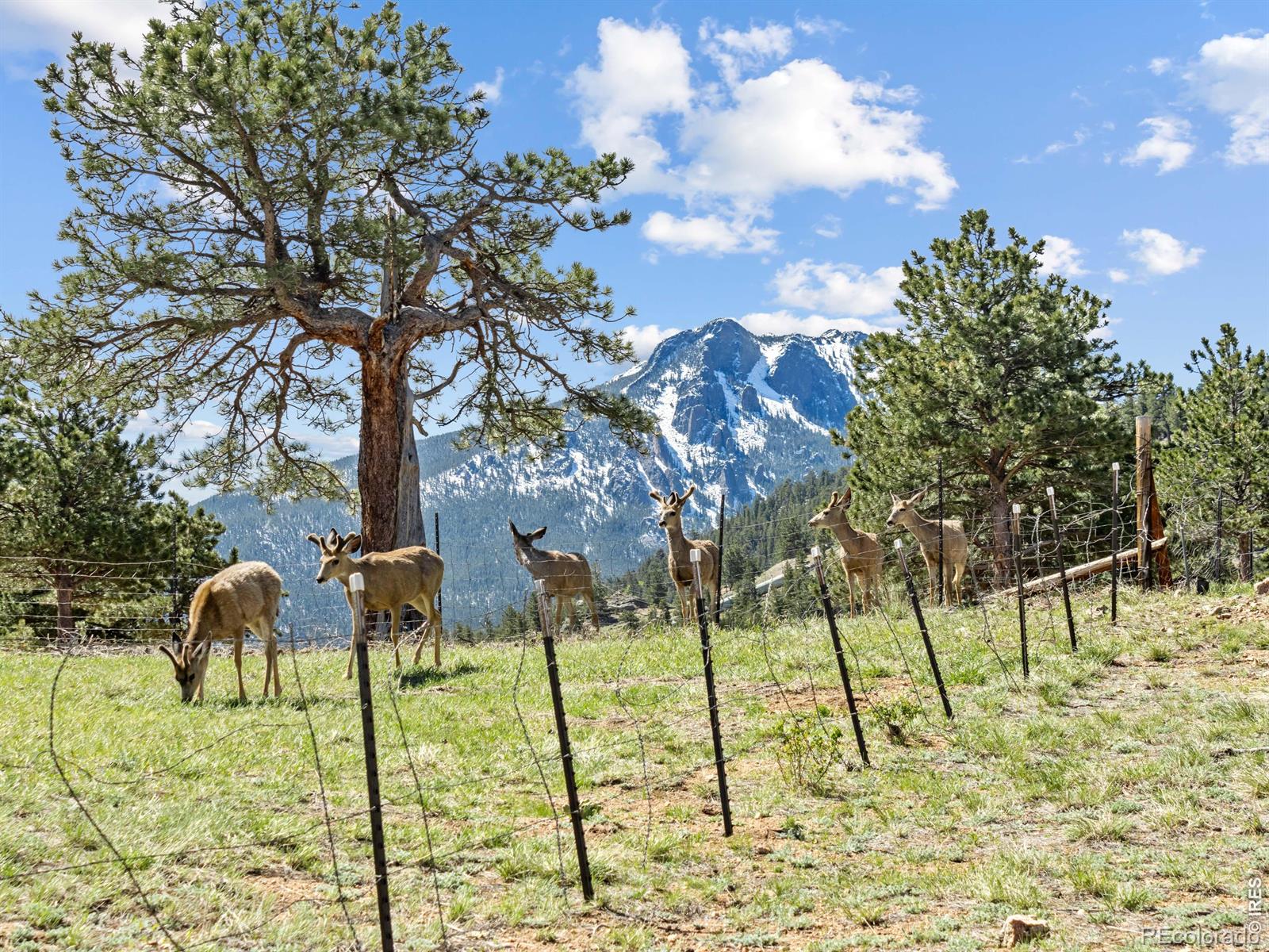 MLS Image #32 for 2010  marys lake road,estes park, Colorado