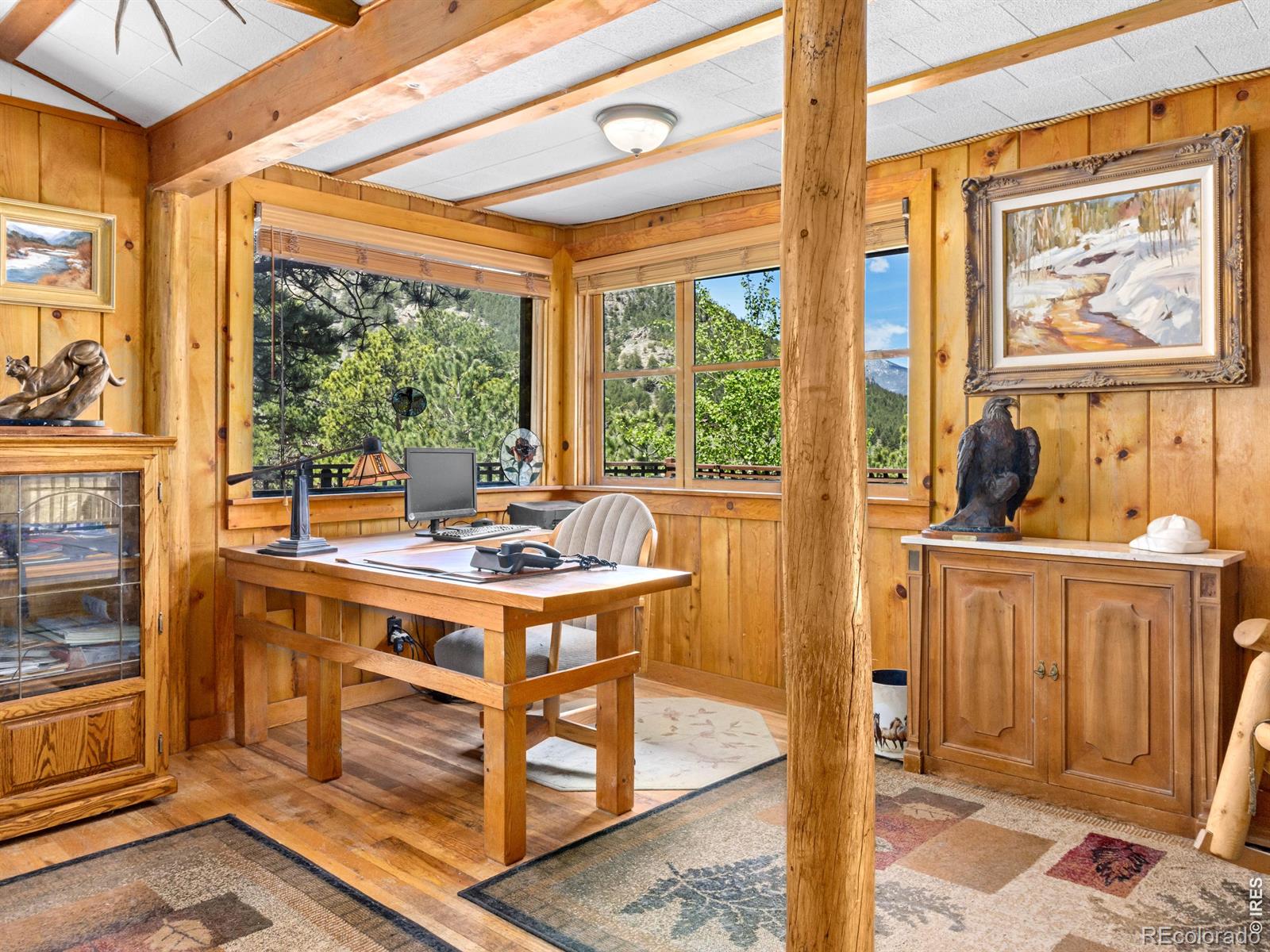 MLS Image #9 for 2010  marys lake road,estes park, Colorado