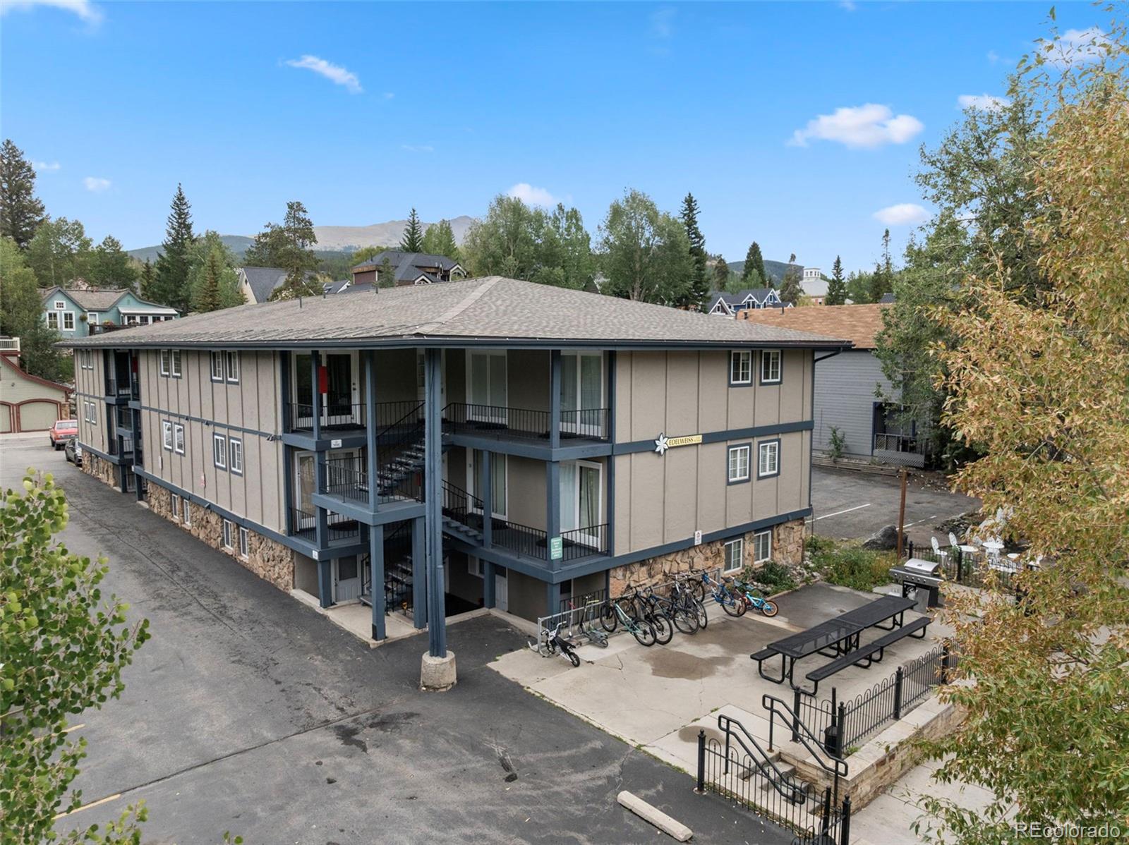 MLS Image #11 for 214 n main street,breckenridge, Colorado
