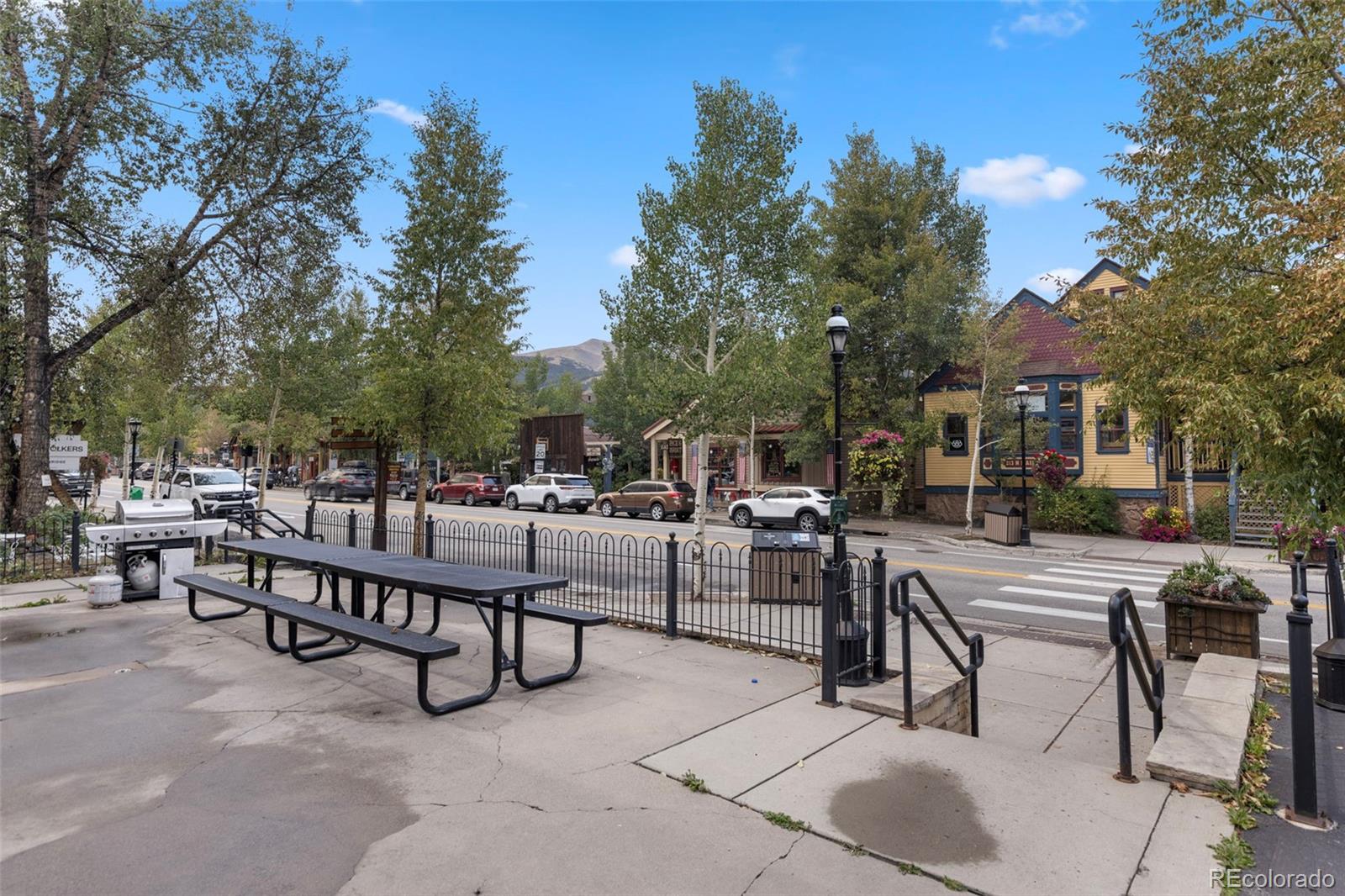 MLS Image #20 for 214 n main street,breckenridge, Colorado