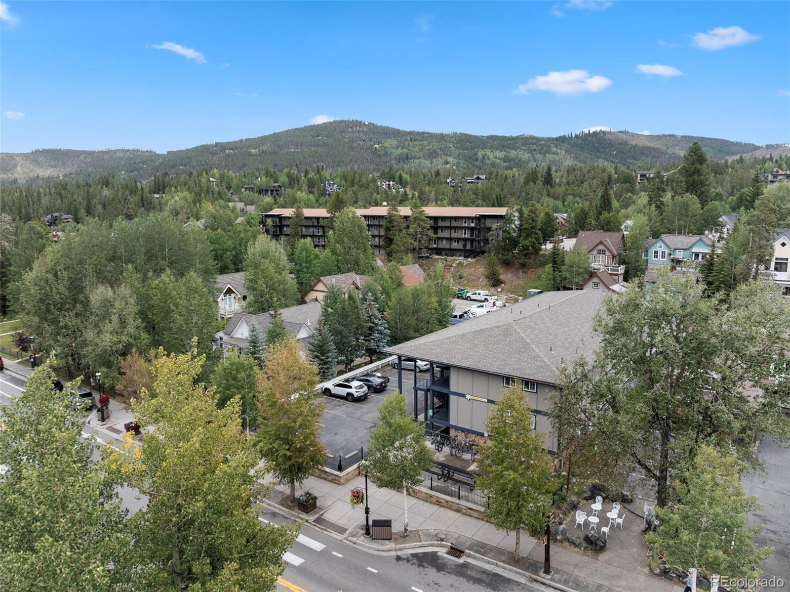 MLS Image #23 for 214 n main street,breckenridge, Colorado