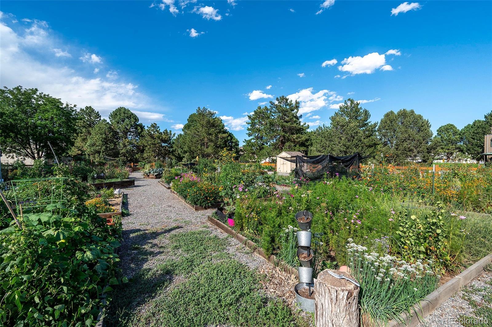 MLS Image #23 for 3225 s garrison street,denver, Colorado