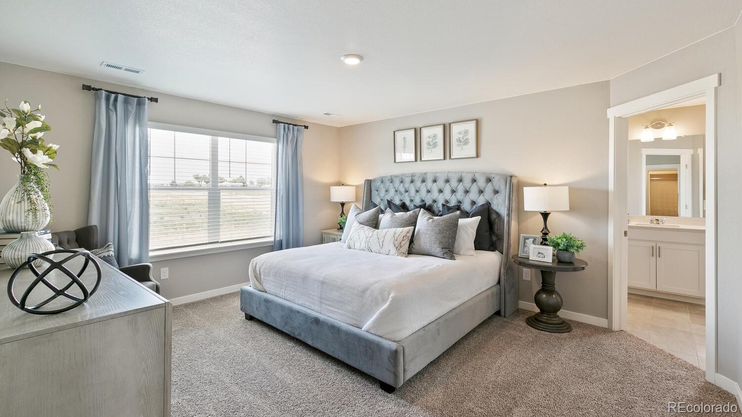 MLS Image #12 for 5726  gelbray place,windsor, Colorado