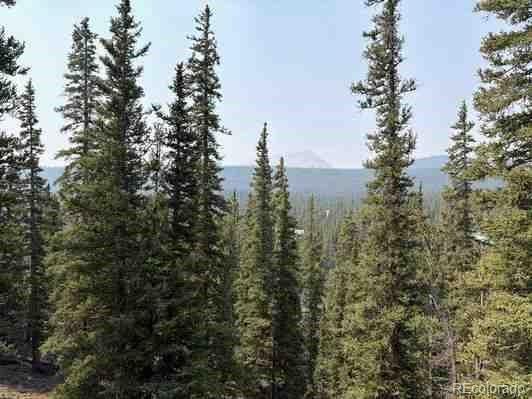 MLS Image #3 for 4500  cr-14 ,fairplay, Colorado