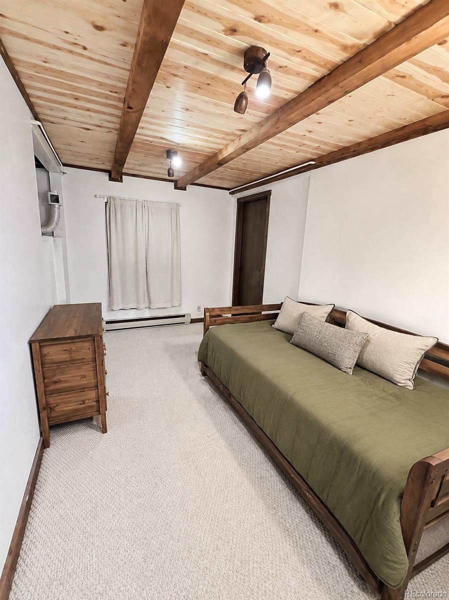 MLS Image #5 for 4500  cr-14 ,fairplay, Colorado