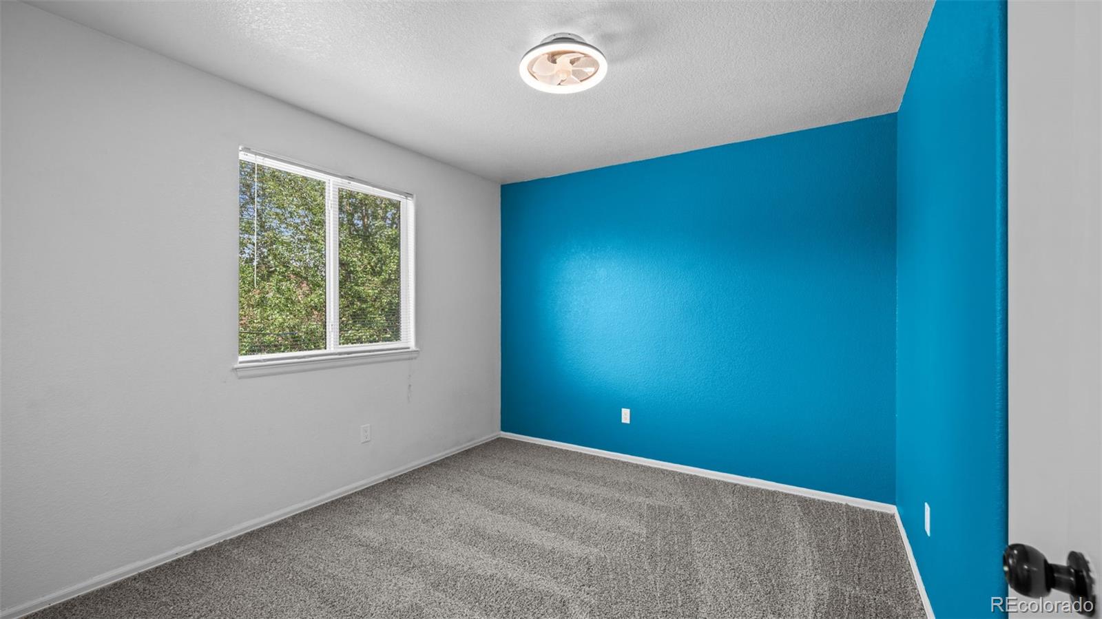 MLS Image #22 for 5216  arroyo street,colorado springs, Colorado
