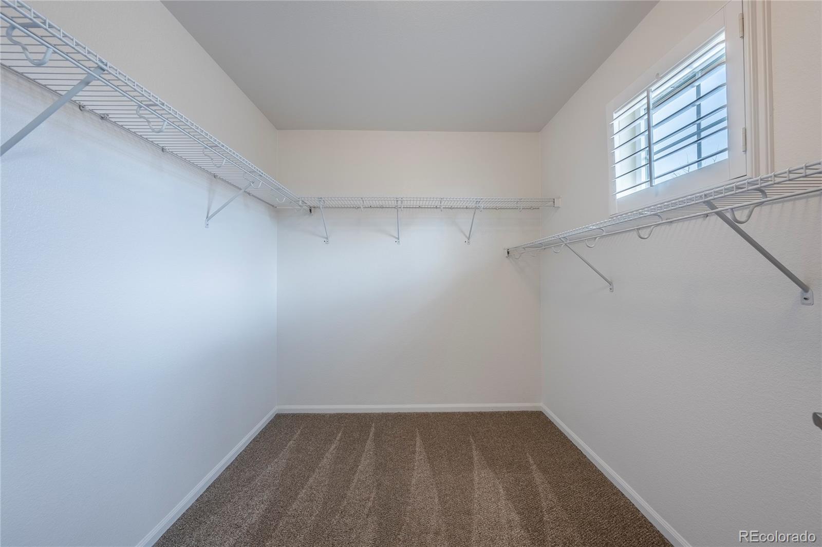 MLS Image #32 for 16570 e hollow horn avenue,parker, Colorado